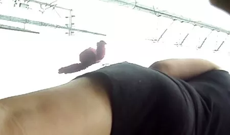 ไอ้หญิงกับ ดู วิดีโอ หนัง โป้ vibrator ต้องตอนเธอถึงจุดสุดยอด